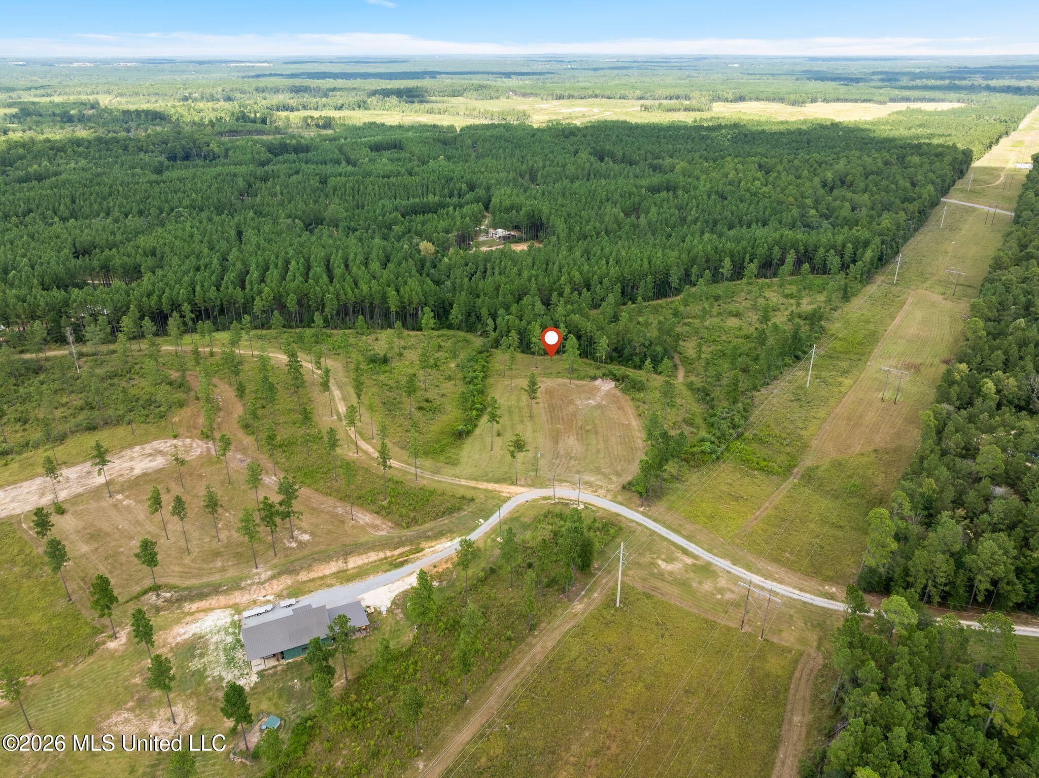 48 Clear Pines Drive Property Photo 8