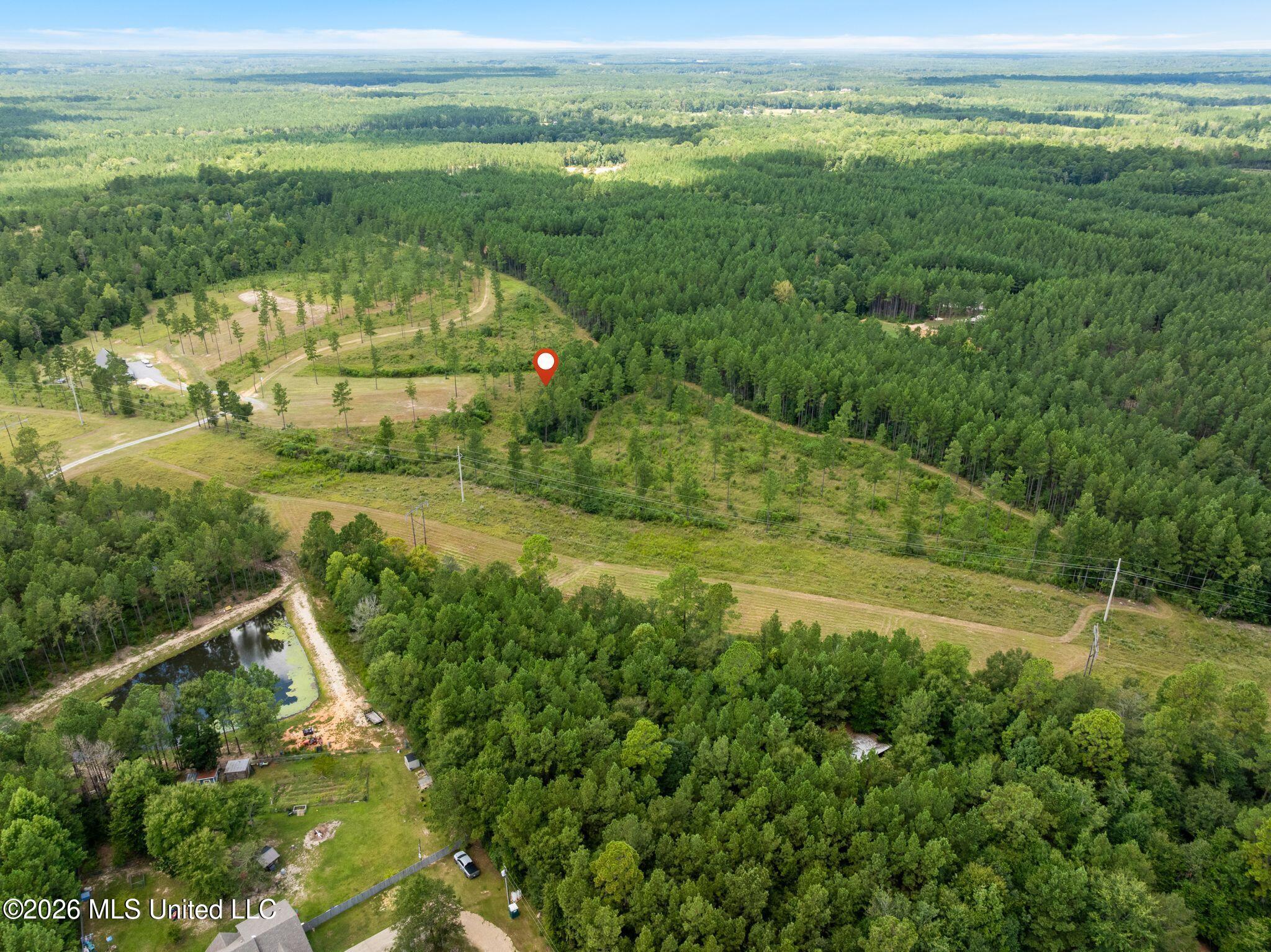 48 Clear Pines Drive Property Photo 12