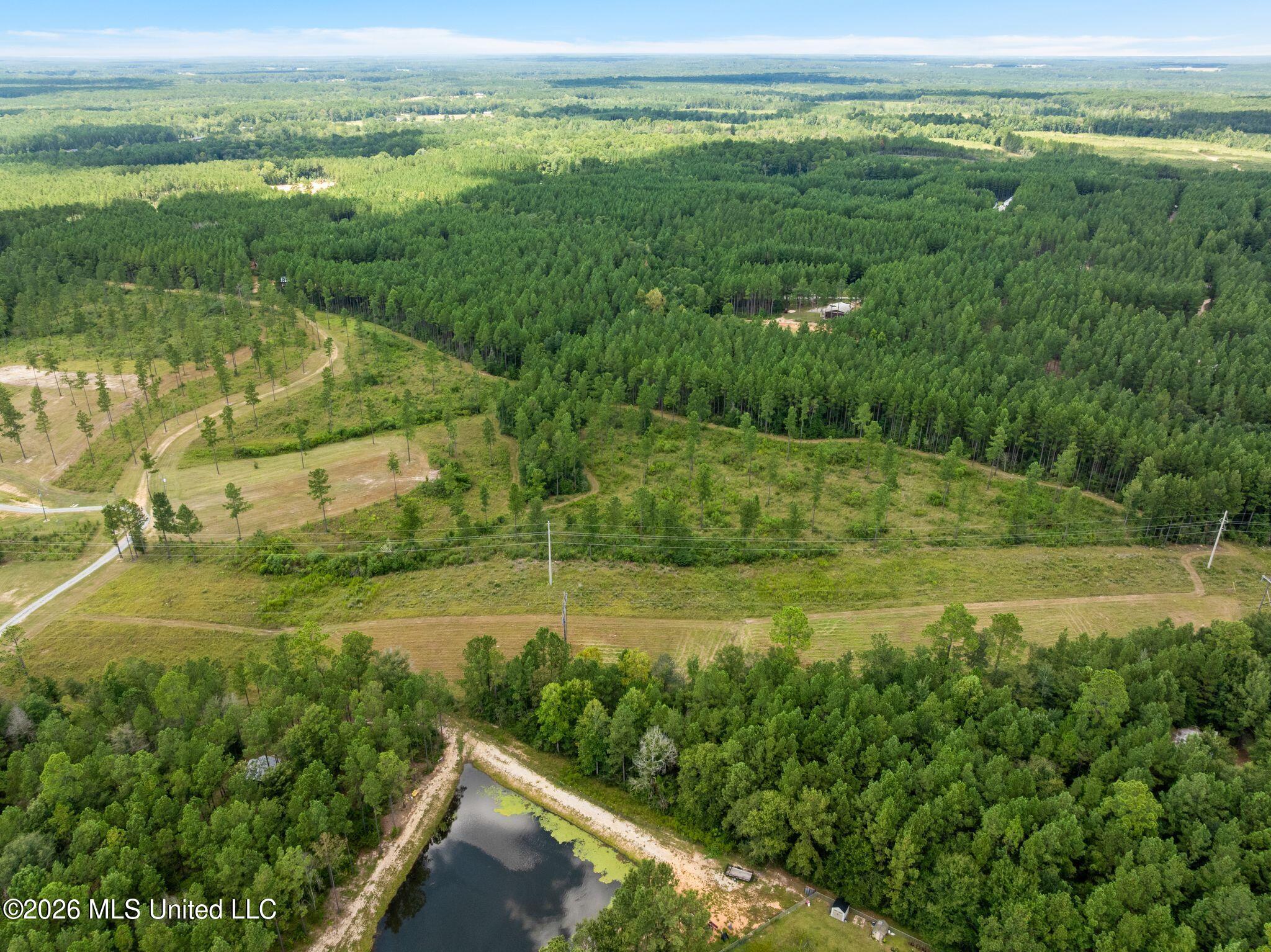 48 Clear Pines Drive Property Photo 13