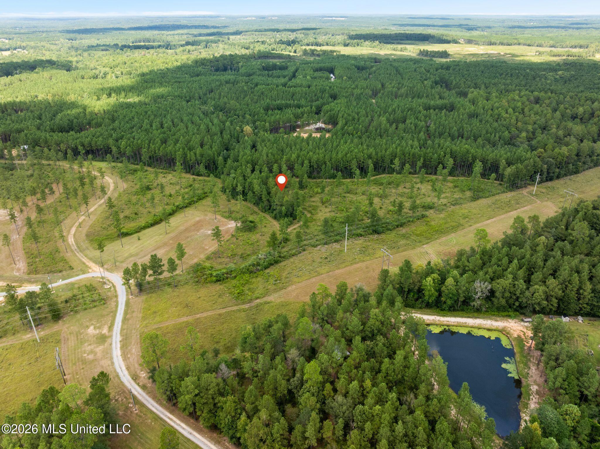 48 Clear Pines Drive Property Photo 14