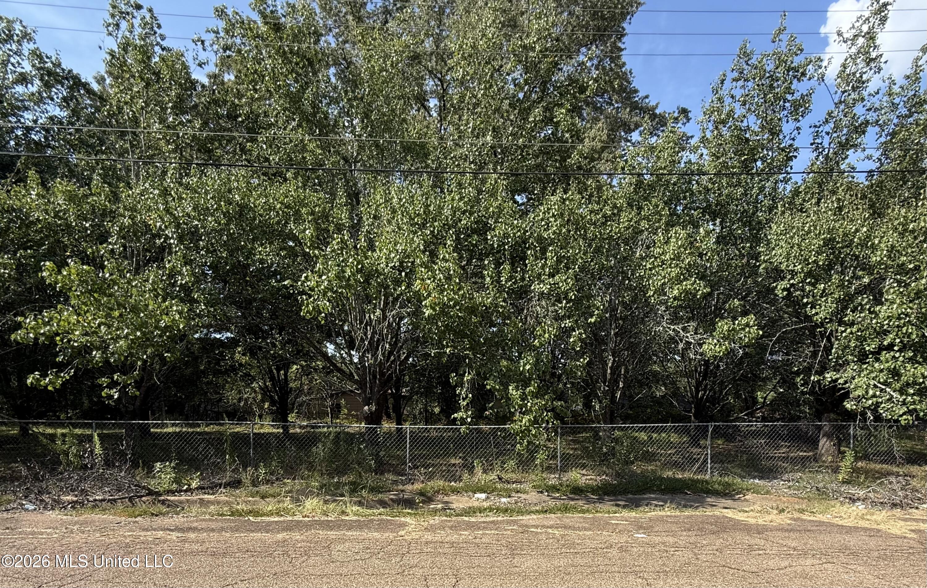 Cadillac Street Property Photo 1