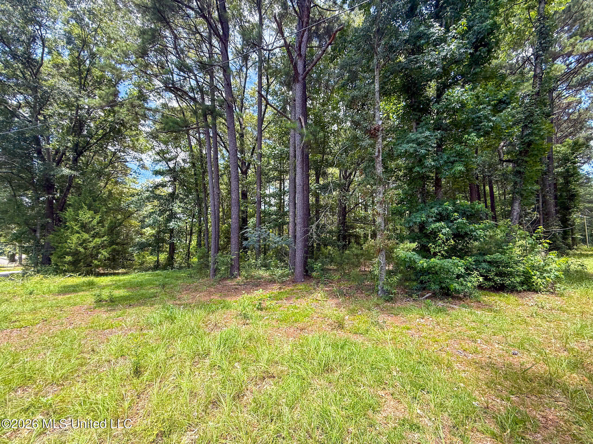Berthadale Road Property Photo 1
