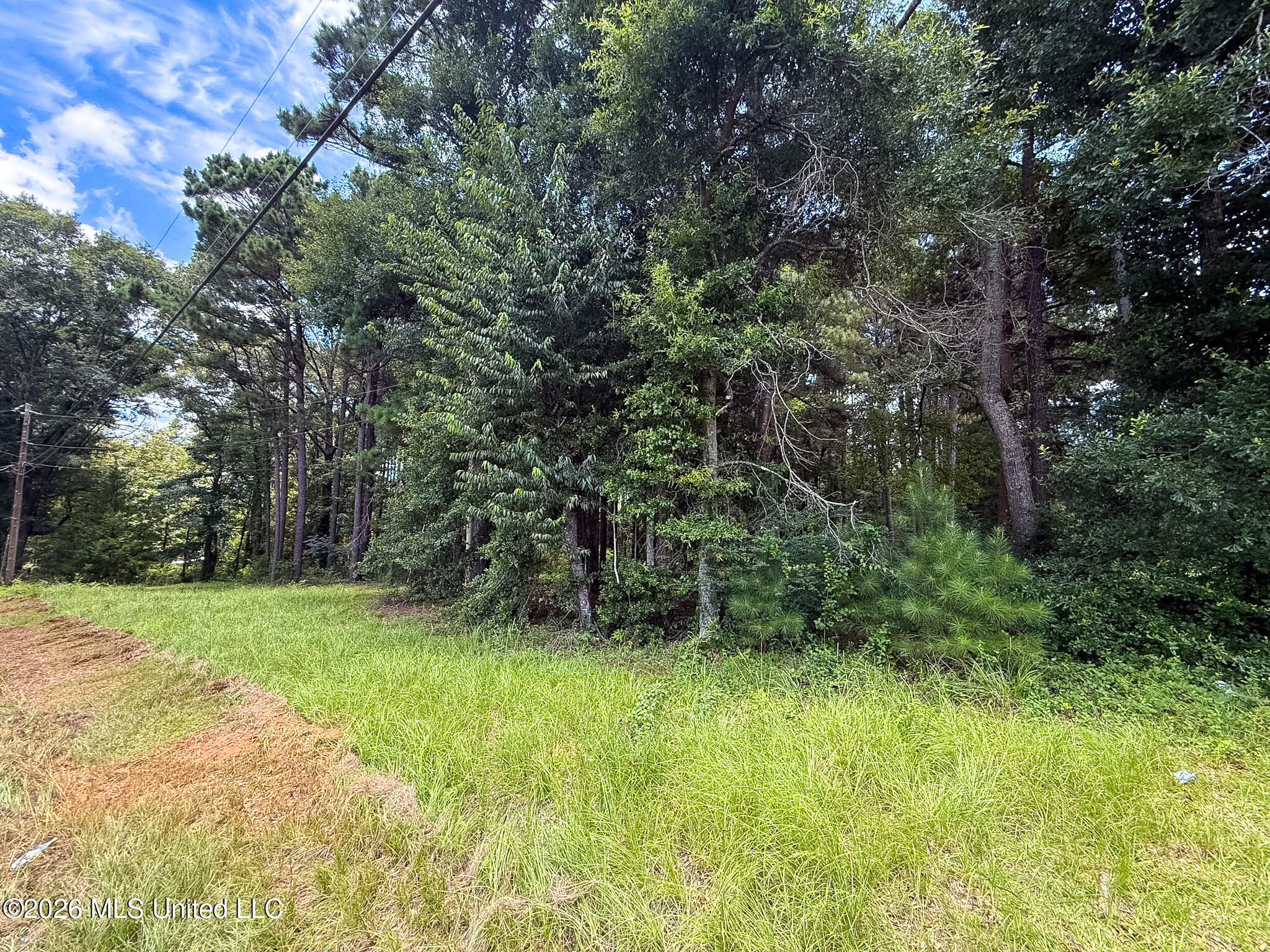 Berthadale Road Property Photo 2