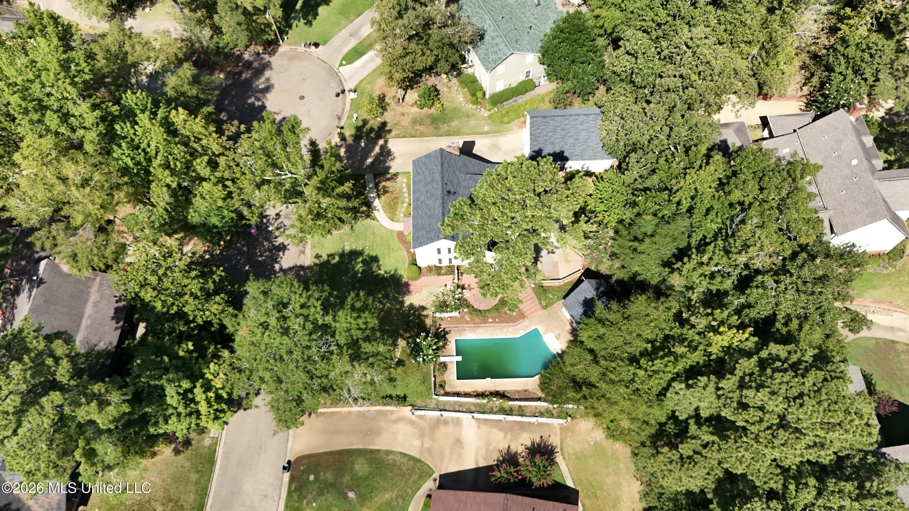 107 Caroline Cove Property Photo 7