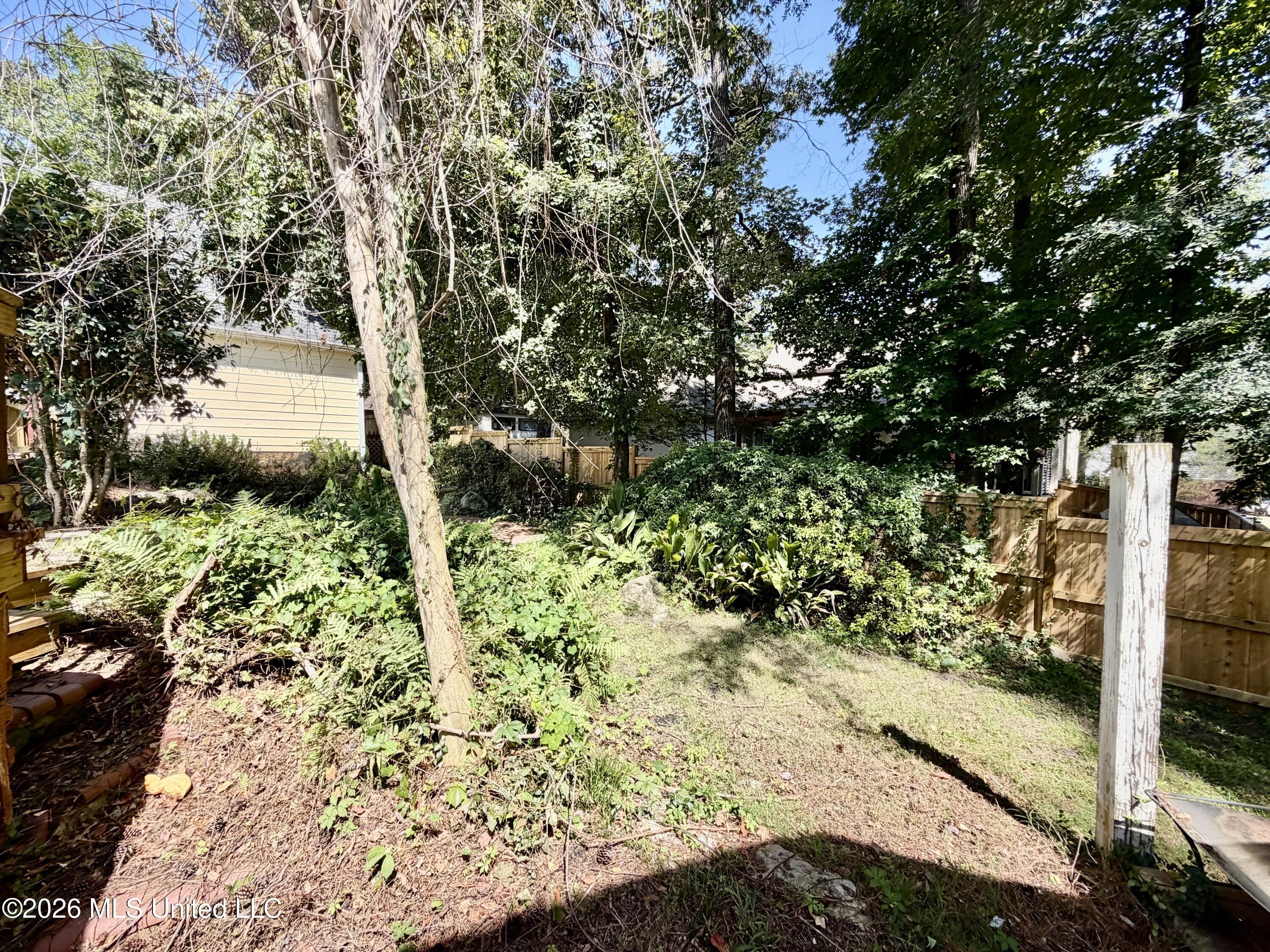 107 Caroline Cove Property Photo 11