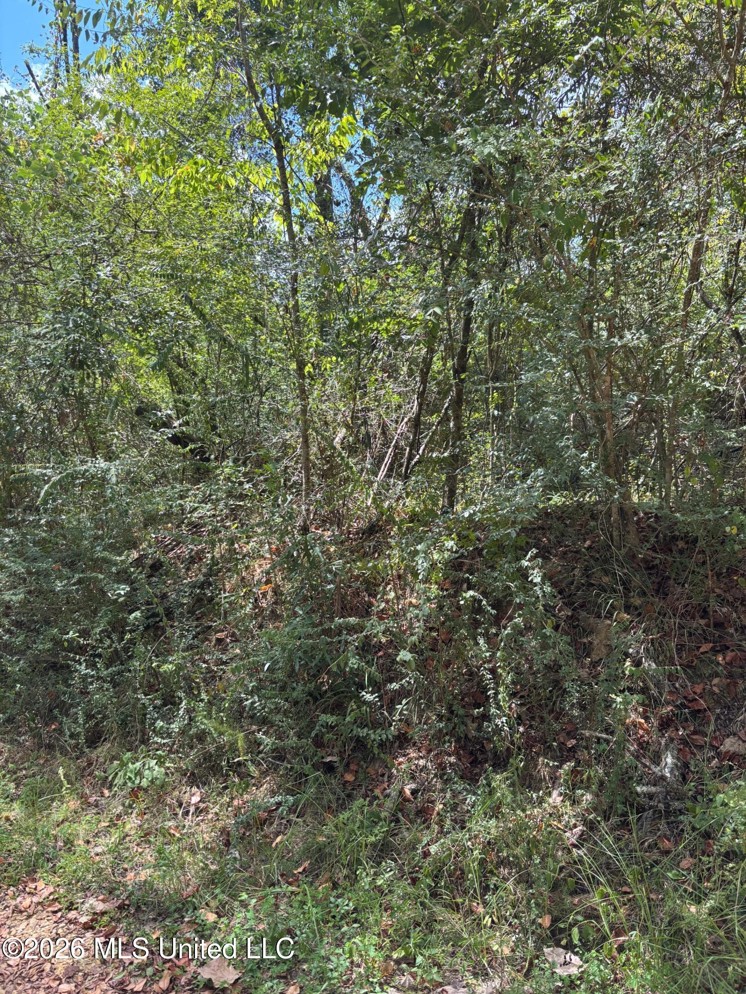 Ms-556 Property Photo 1