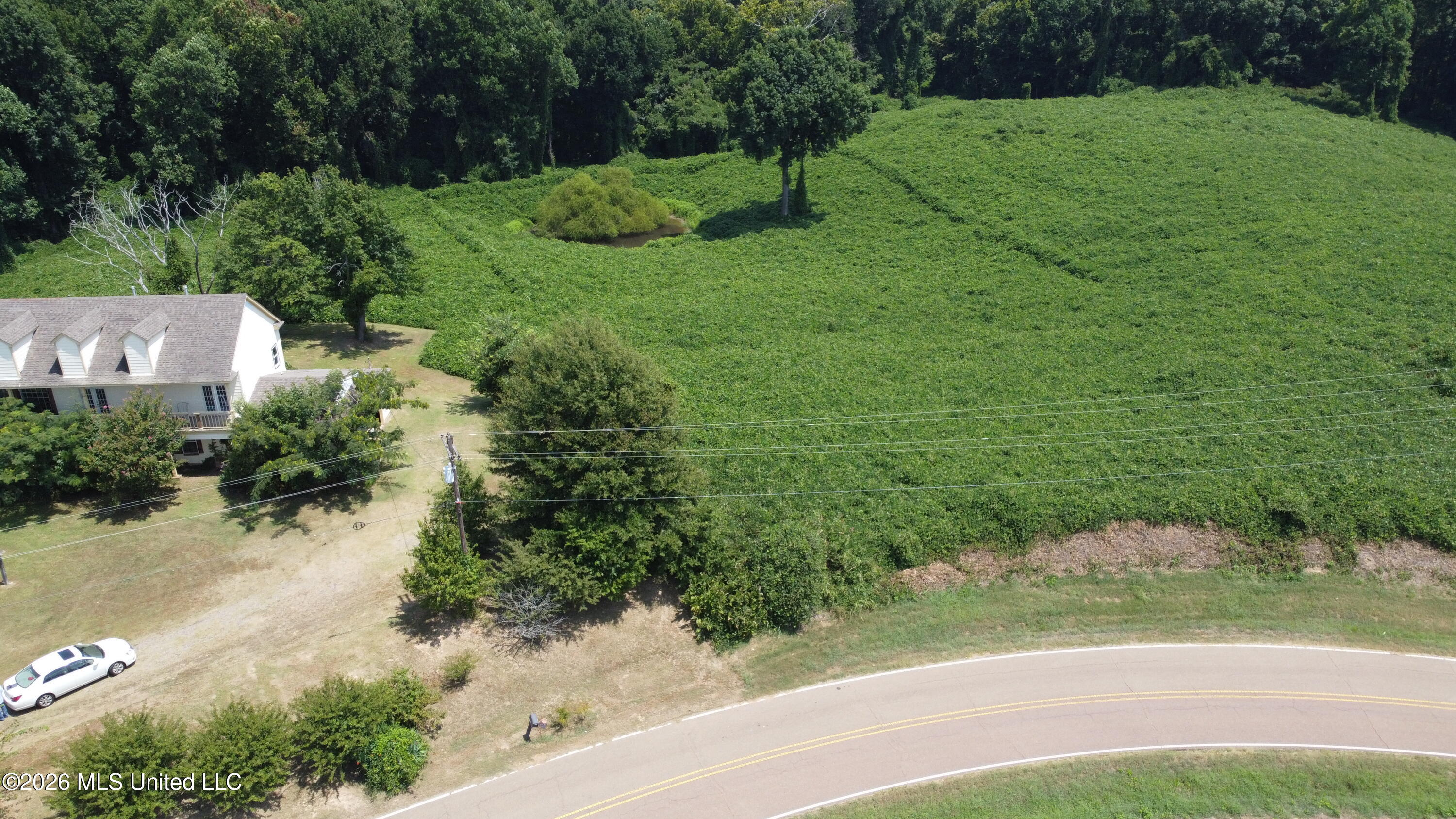 4352 Williams Road Property Photo 3
