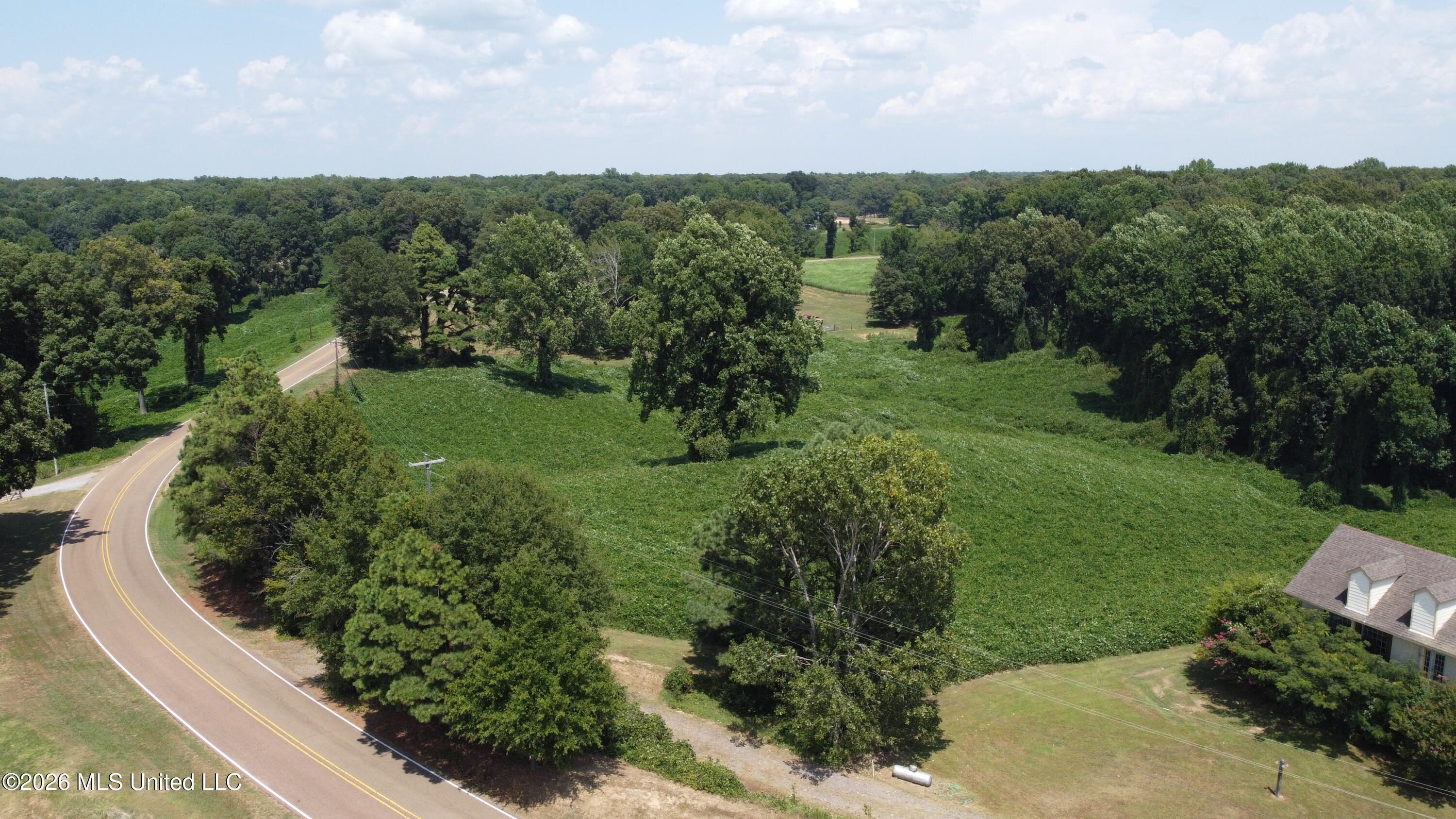 4352 Williams Road Property Photo 4