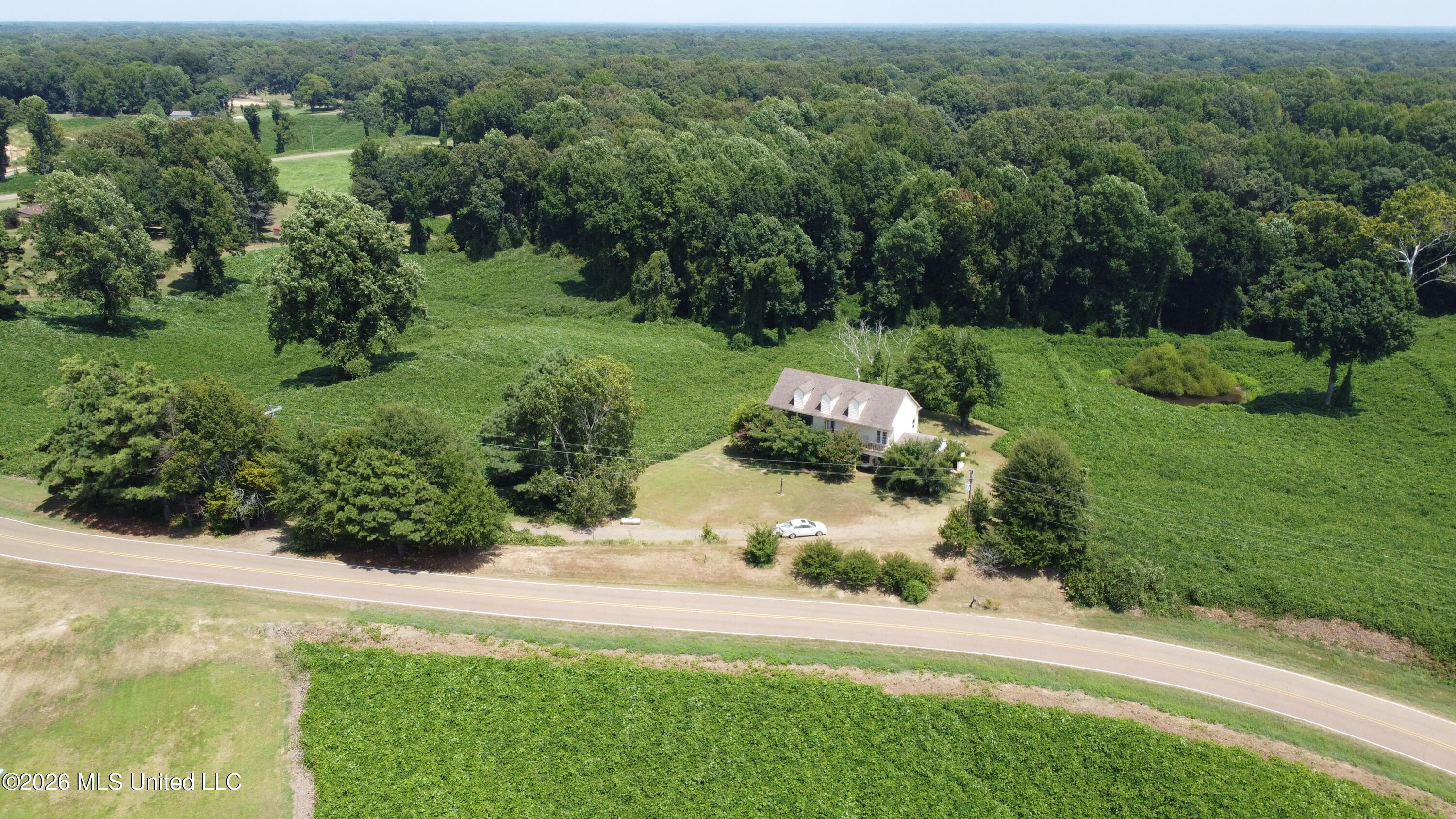 4352 Williams Road Property Photo 5