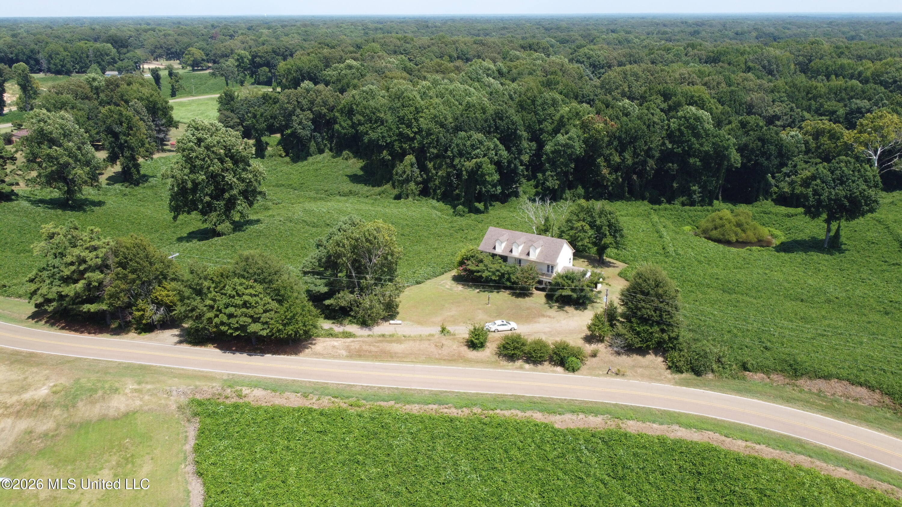 4352 Williams Road Property Photo 6