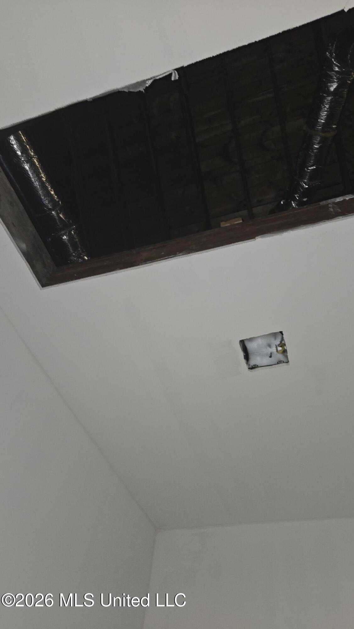 4352 Williams Road Property Photo 31