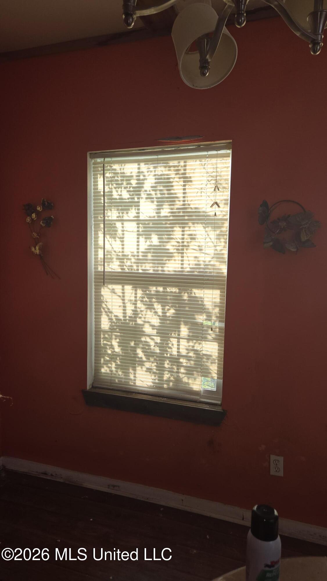 4352 Williams Road Property Photo 49