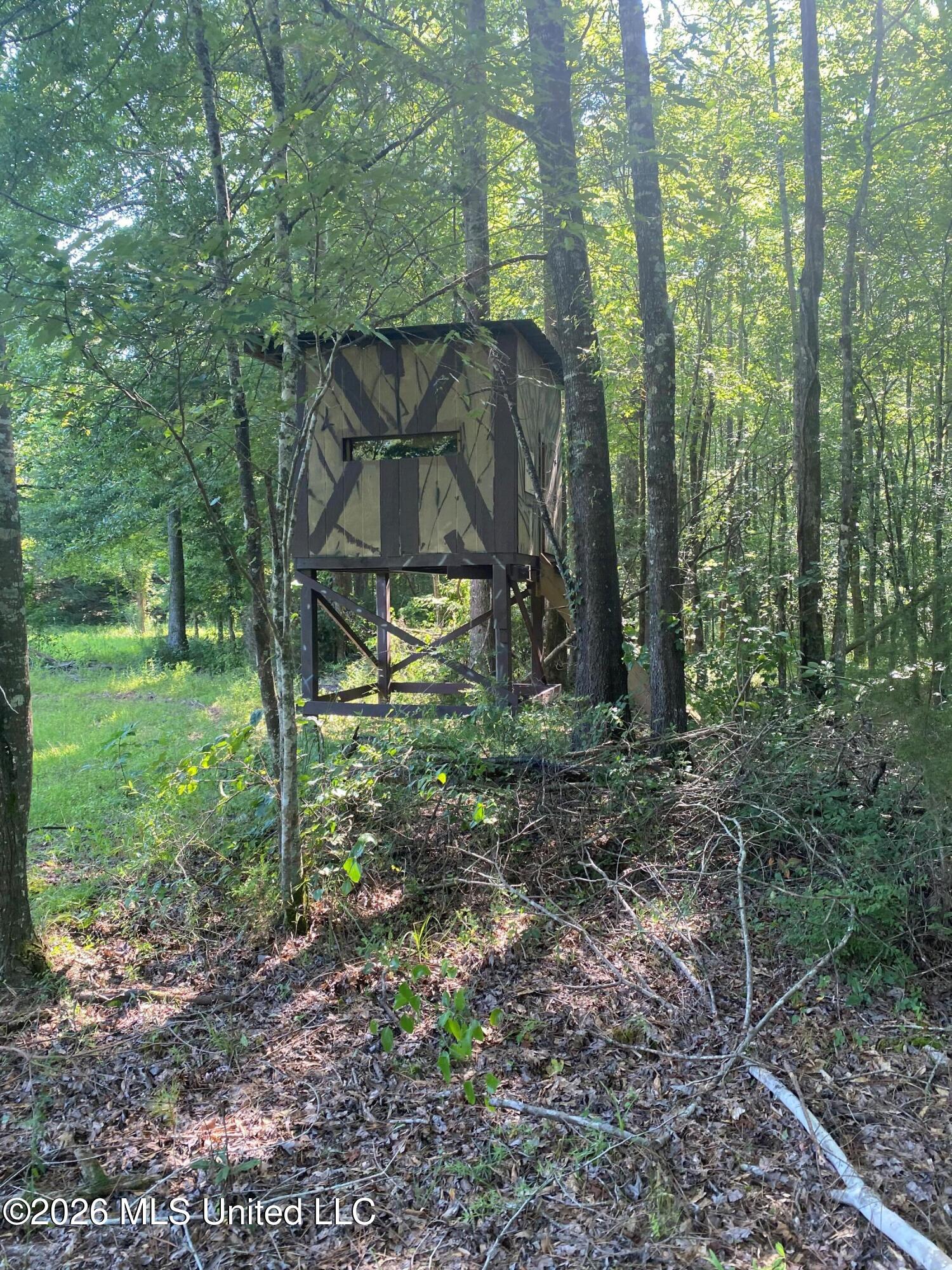 Co Rd 4005 Property Photo 7