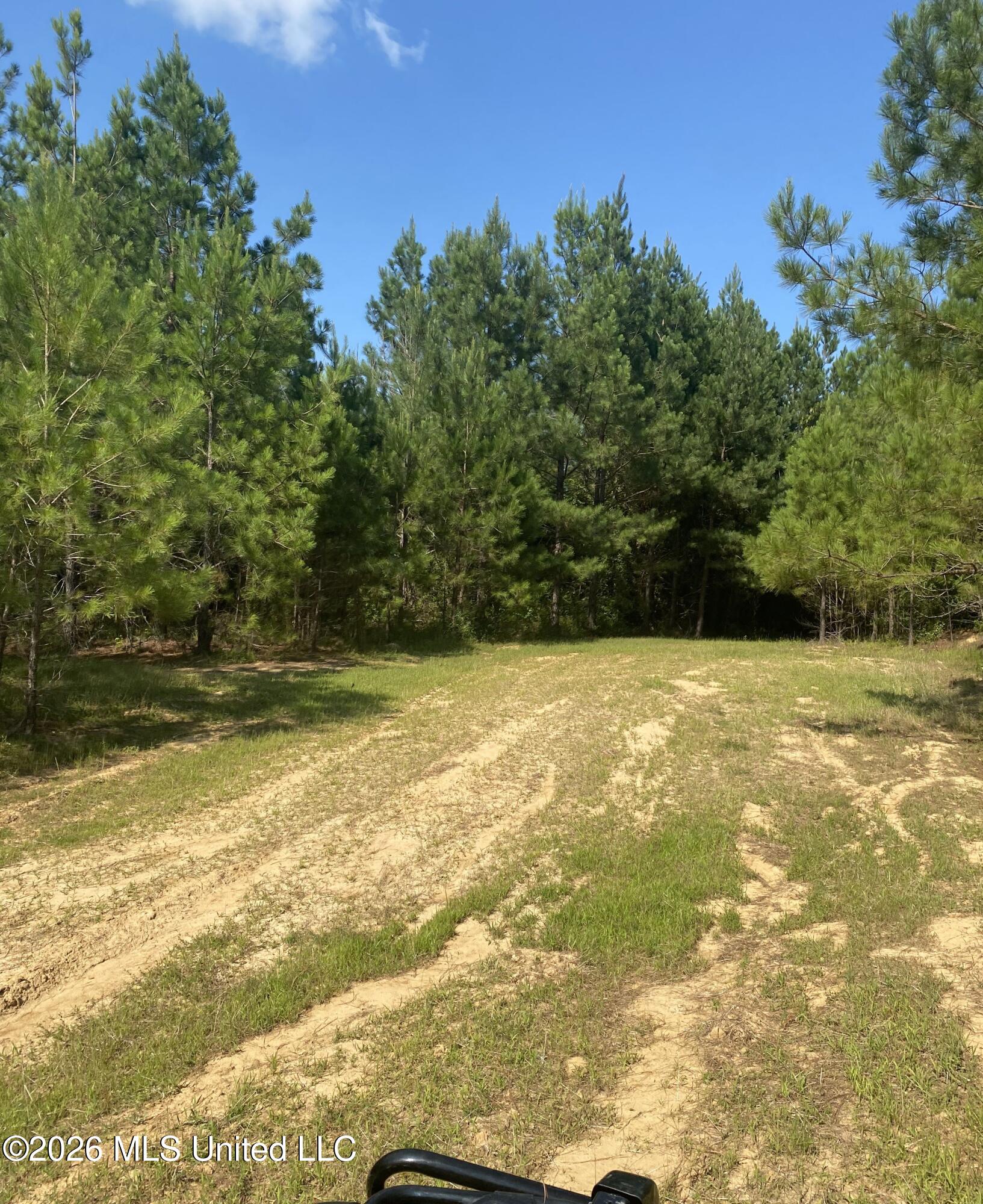 Co Rd 4005 Property Photo 9