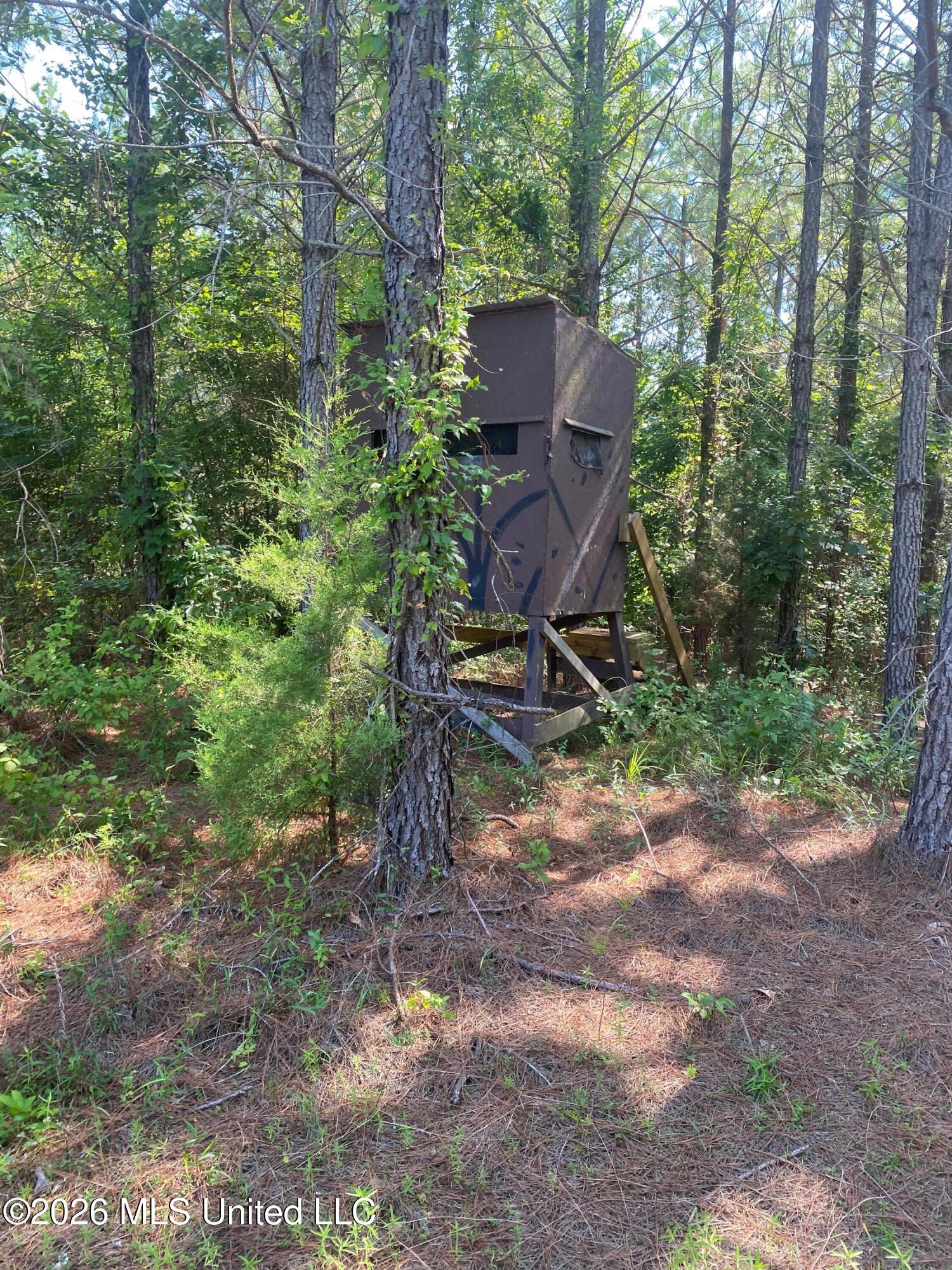 Co Rd 4005 Property Photo 10
