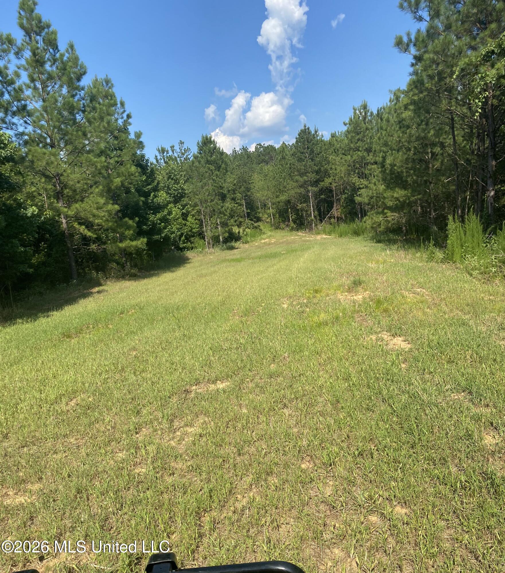 Co Rd 4005 Property Photo 11