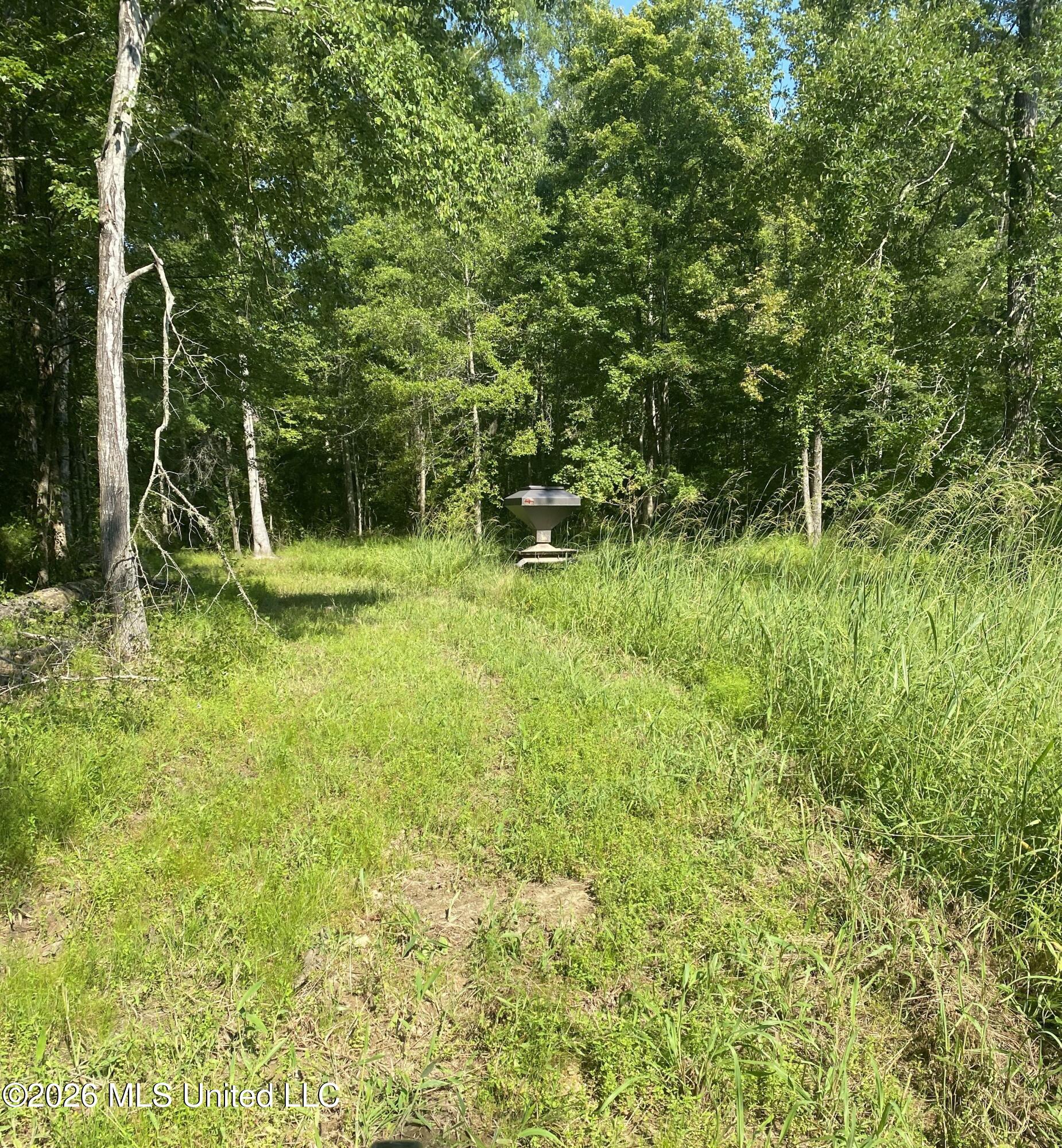 Co Rd 4005 Property Photo 12