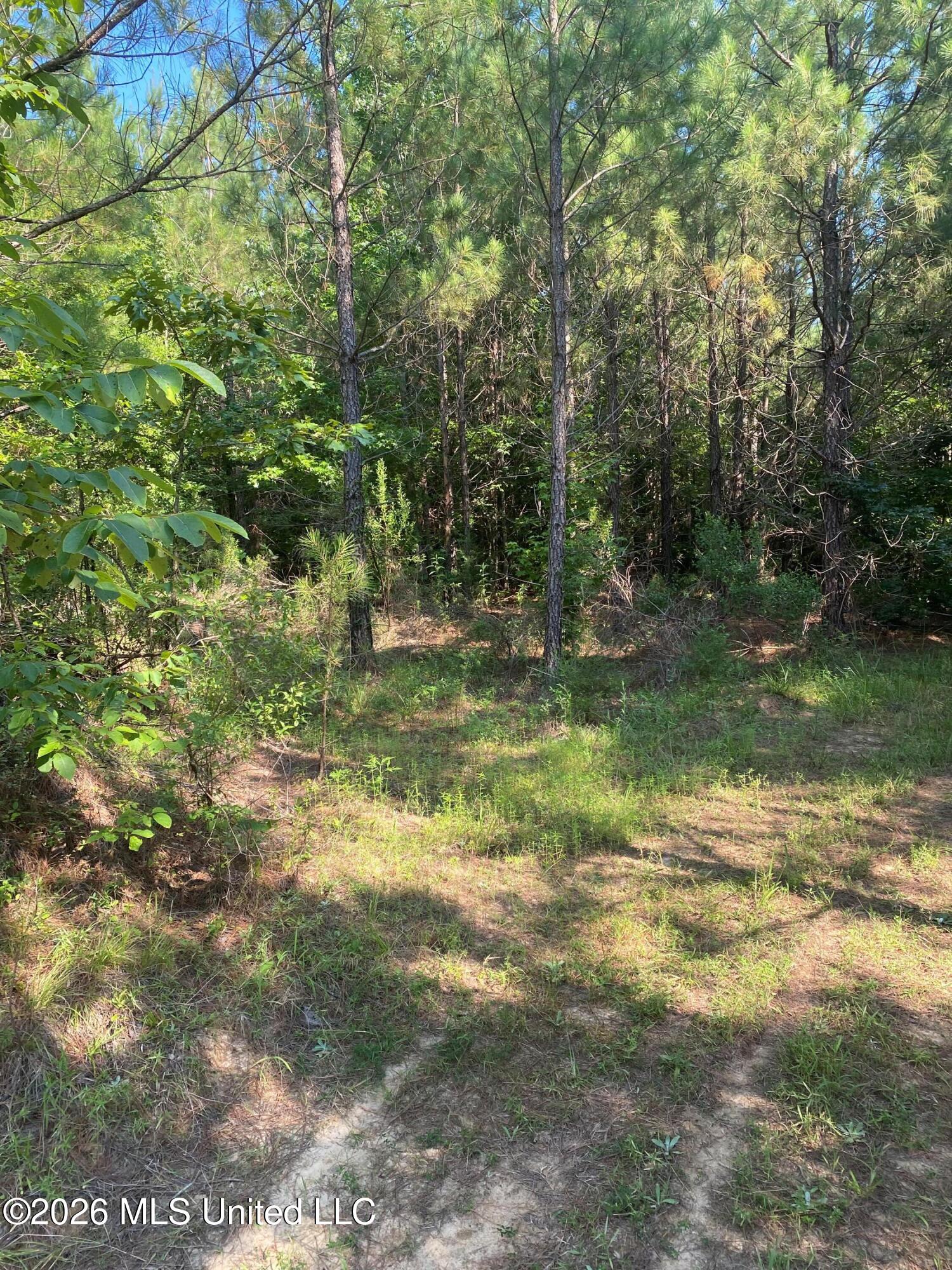 Co Rd 4005 Property Photo 13