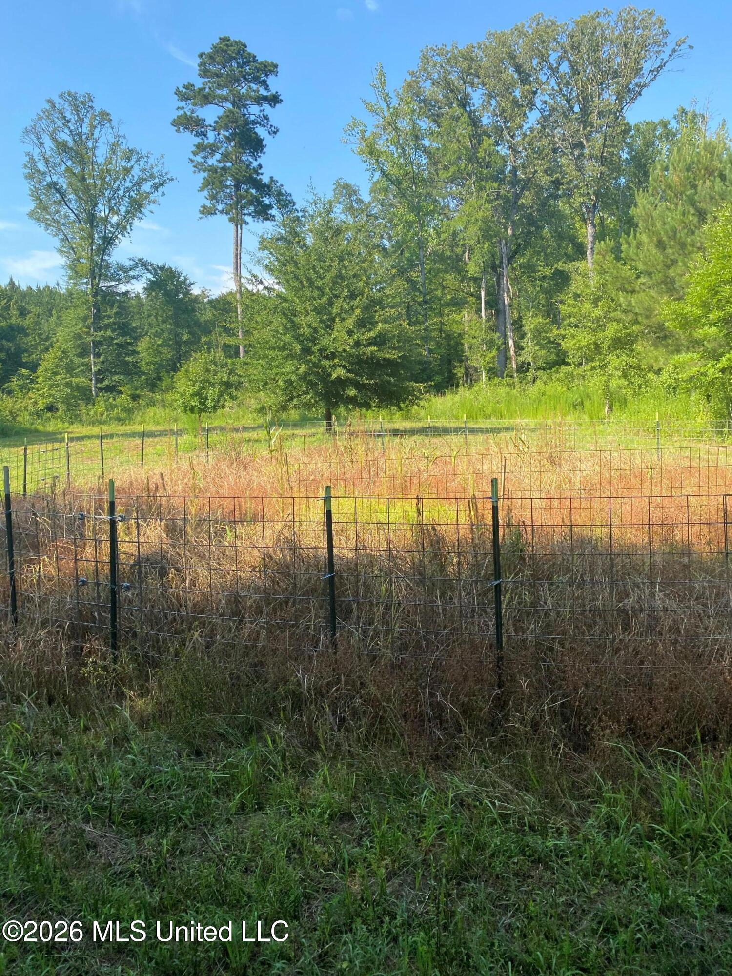 Co Rd 4005 Property Photo 15
