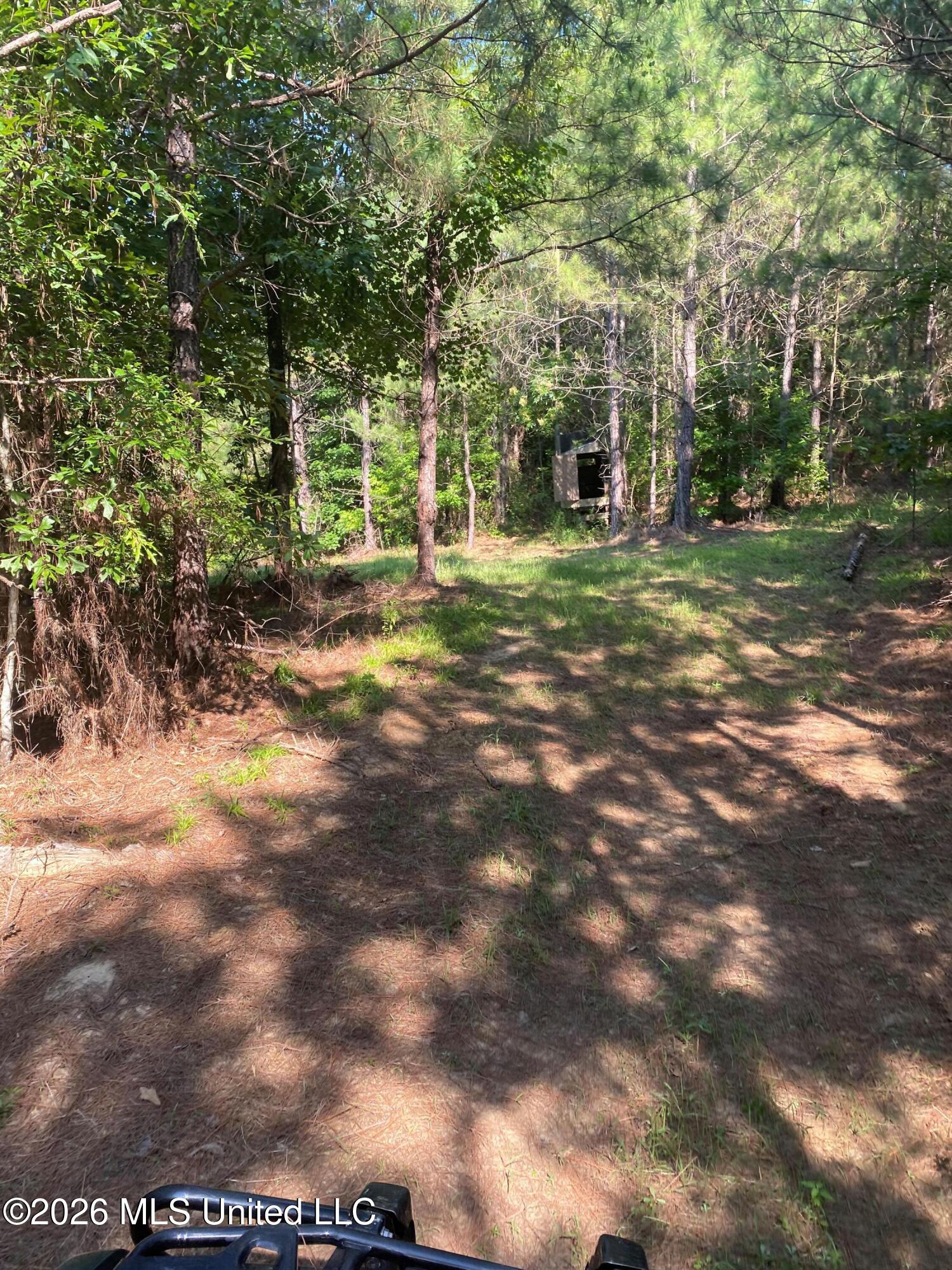 Co Rd 4005 Property Photo 16