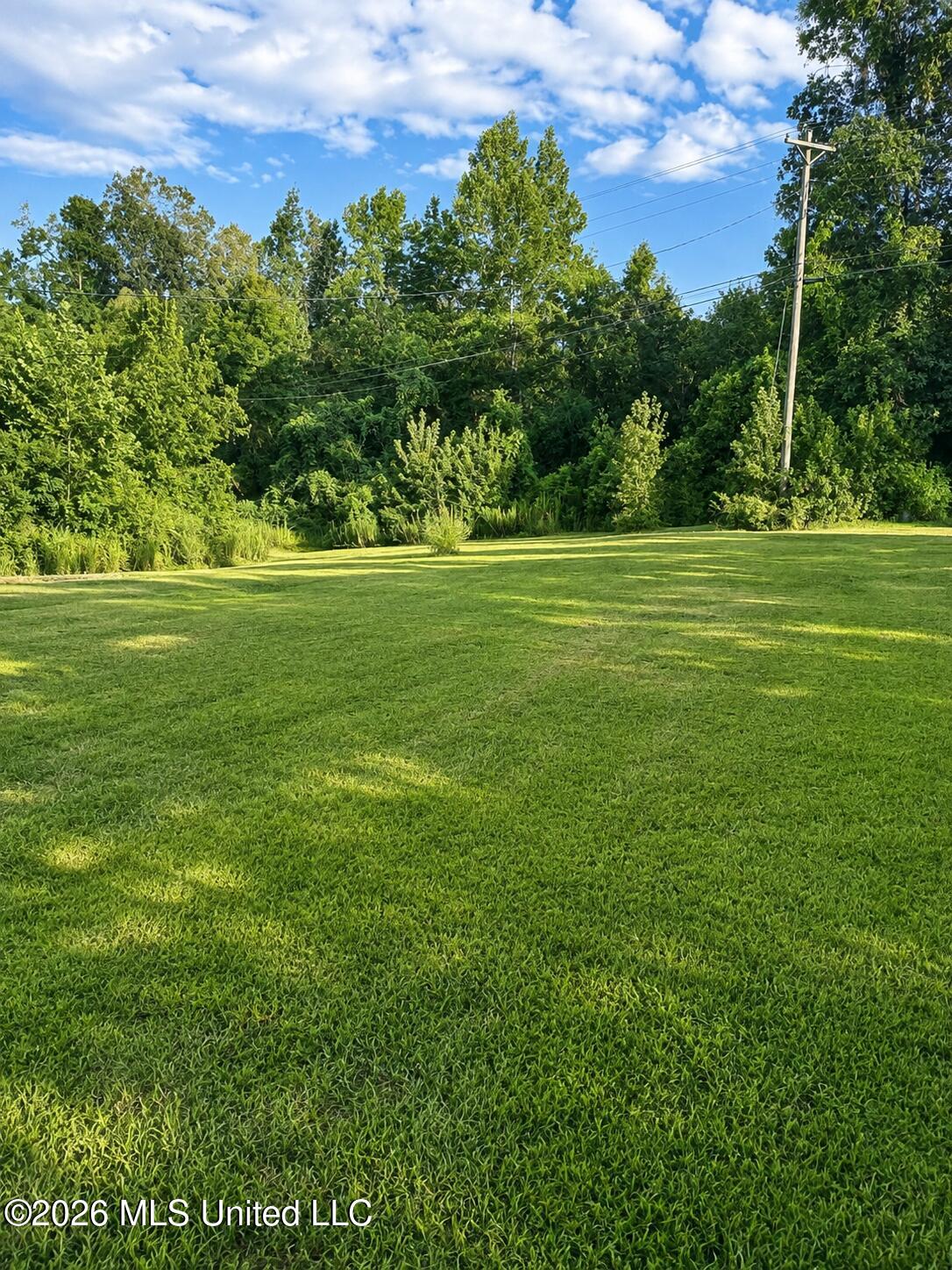 1612 Moonmist Drive Property Photo 10