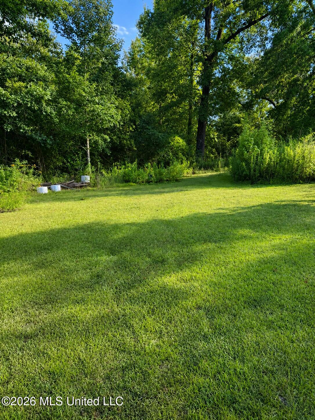 1612 Moonmist Drive Property Photo 29