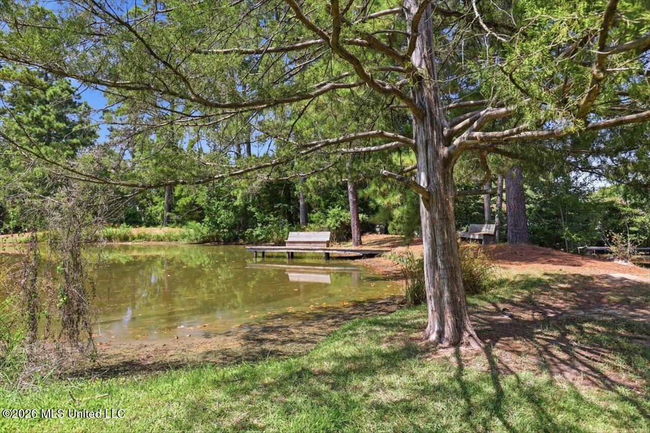 6430 Manship Road Property Photo 75
