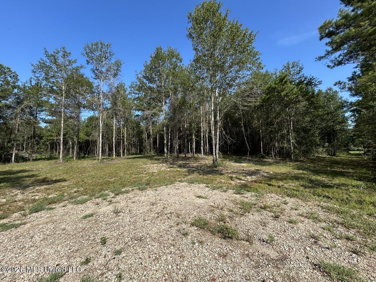 1 Dewitt Lane Property Photo 16