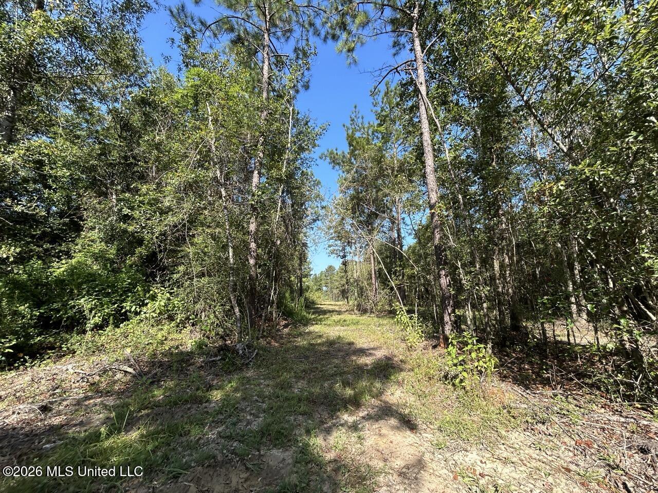 1 Dewitt Lane Property Photo 17