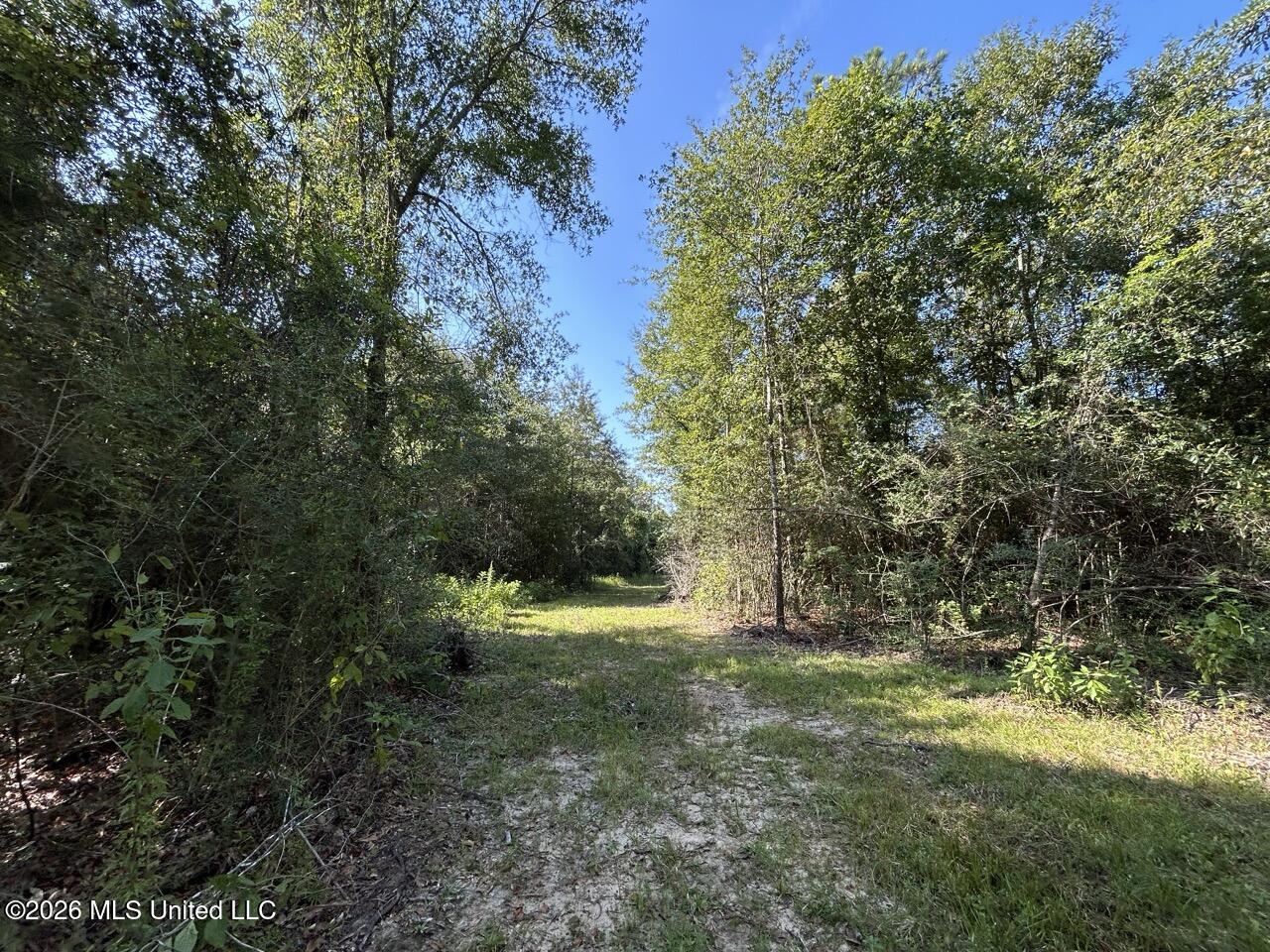 1 Dewitt Lane Property Photo 18
