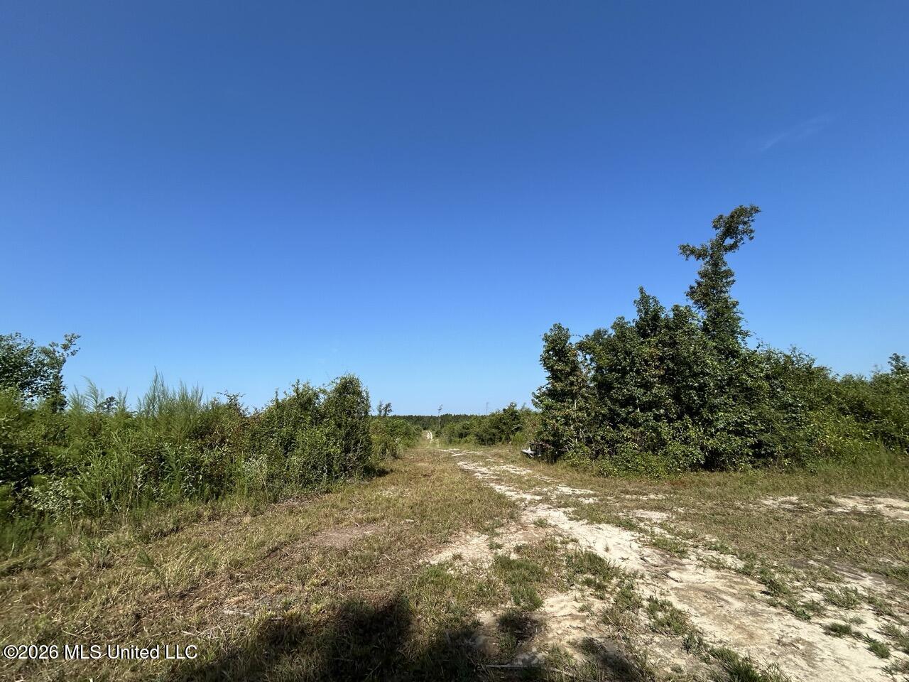 1 Dewitt Lane Property Photo 19