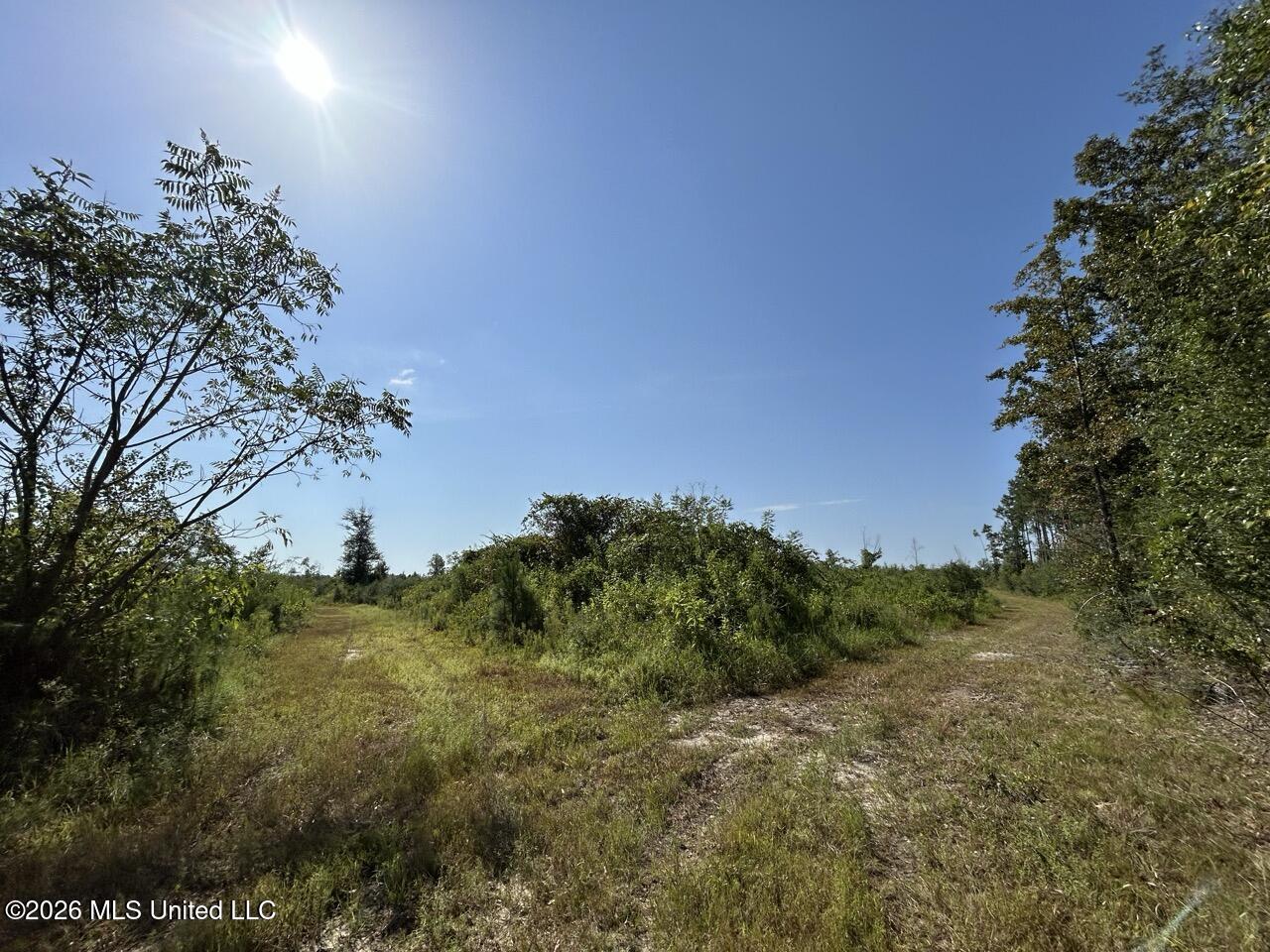 1 Dewitt Lane Property Photo 22