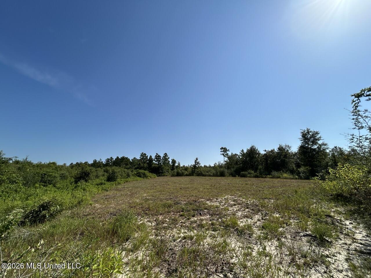 1 Dewitt Lane Property Photo 25