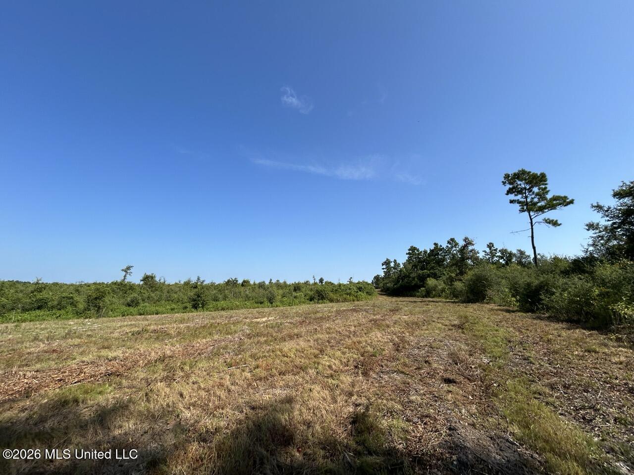 1 Dewitt Lane Property Photo 27