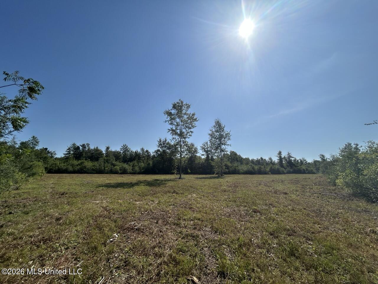 1 Dewitt Lane Property Photo 31