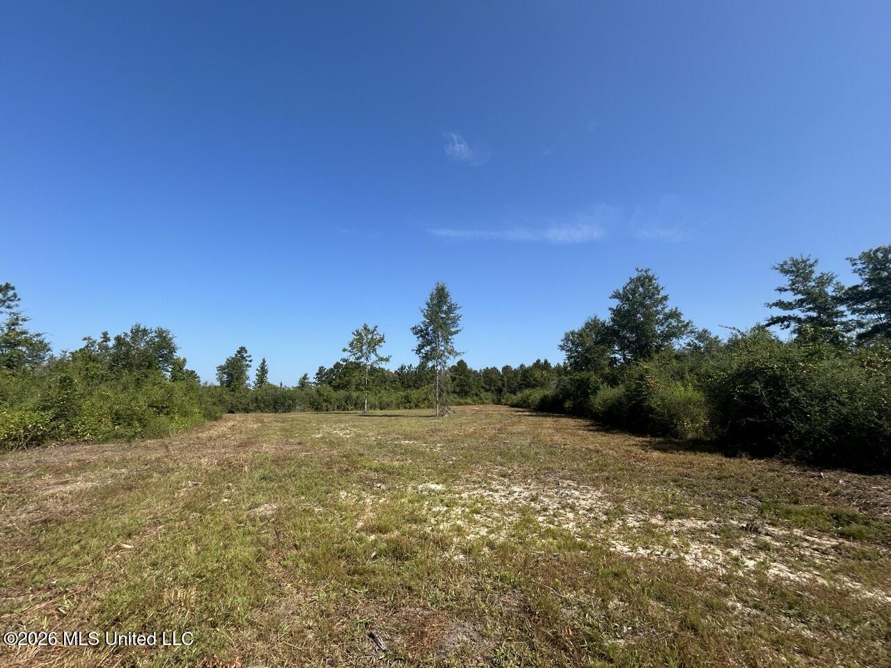 1 Dewitt Lane Property Photo 32