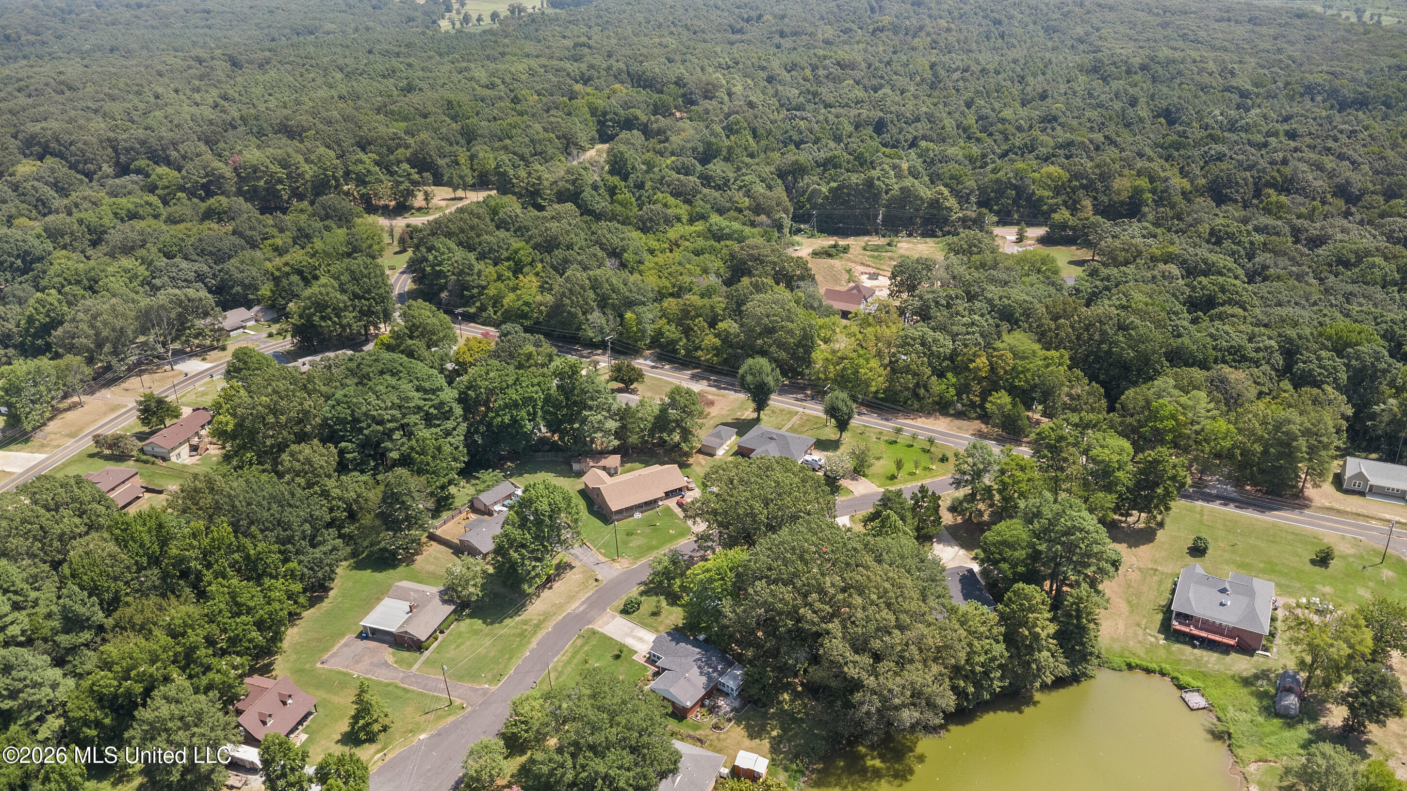 401 Black Bear Cove Property Photo 41