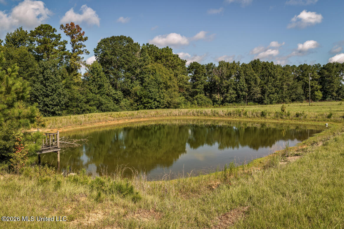 2498 Hilton Lane Property Photo 3