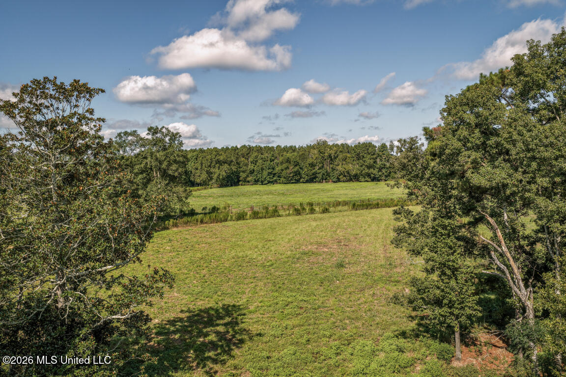 2498 Hilton Lane Property Photo 4