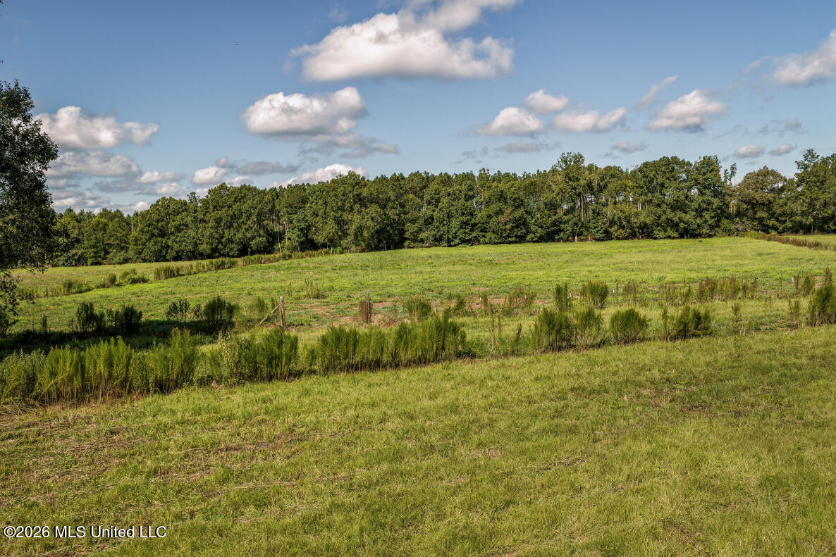 2498 Hilton Lane Property Photo 5