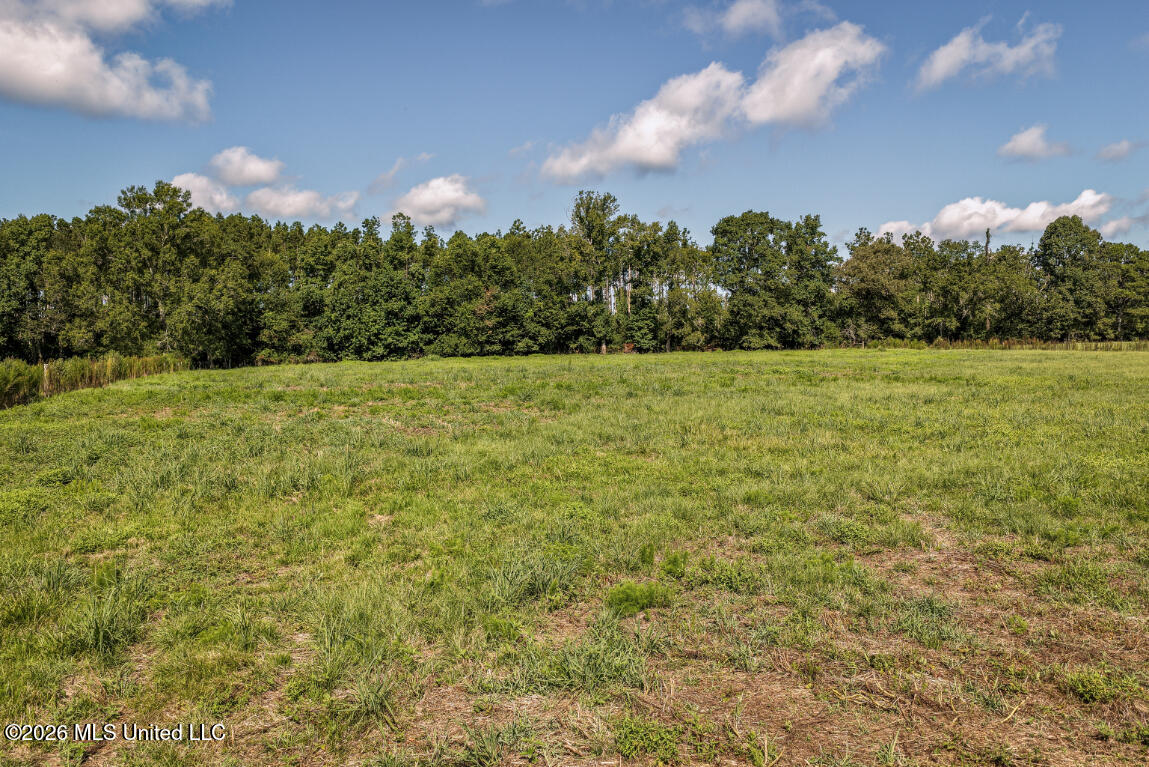 2498 Hilton Lane Property Photo 6