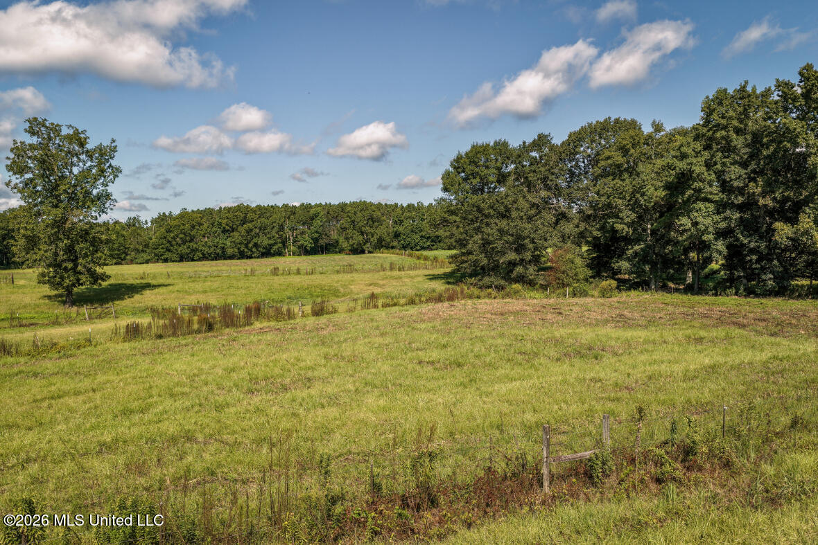 2498 Hilton Lane Property Photo 7