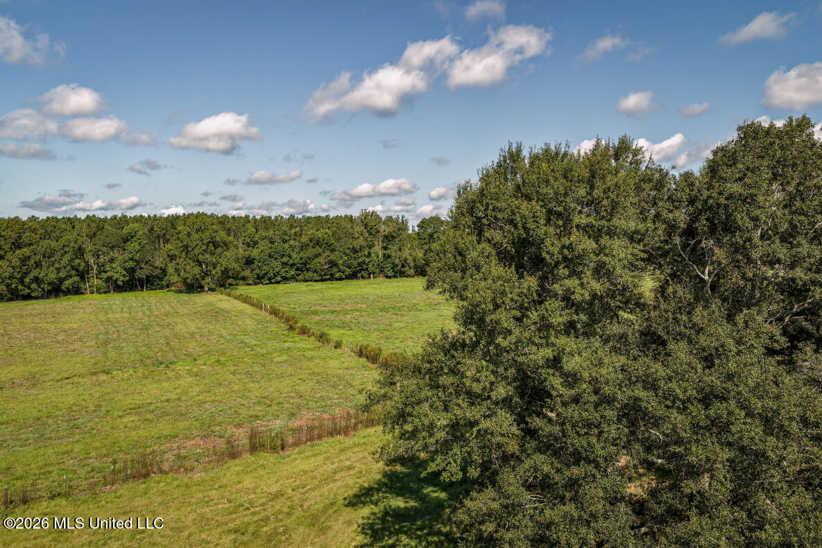 2498 Hilton Lane Property Photo 8