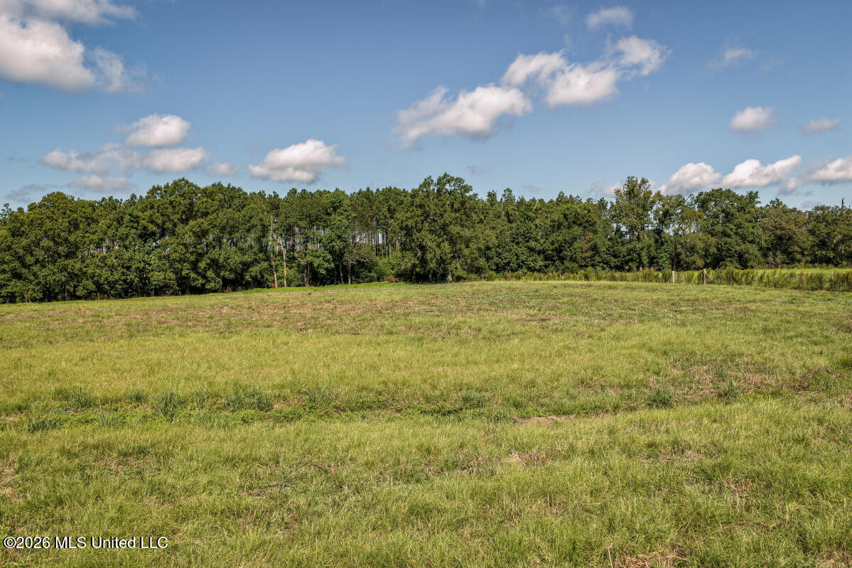 2498 Hilton Lane Property Photo 9