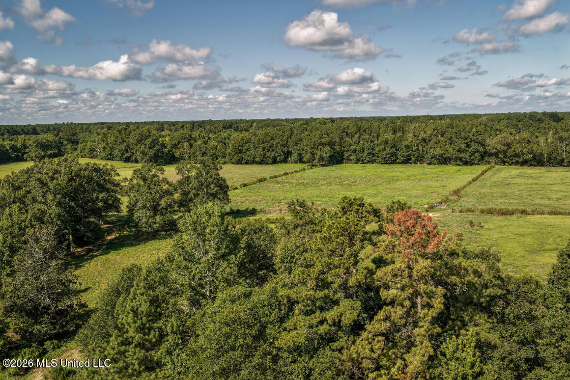 2498 Hilton Lane Property Photo 10