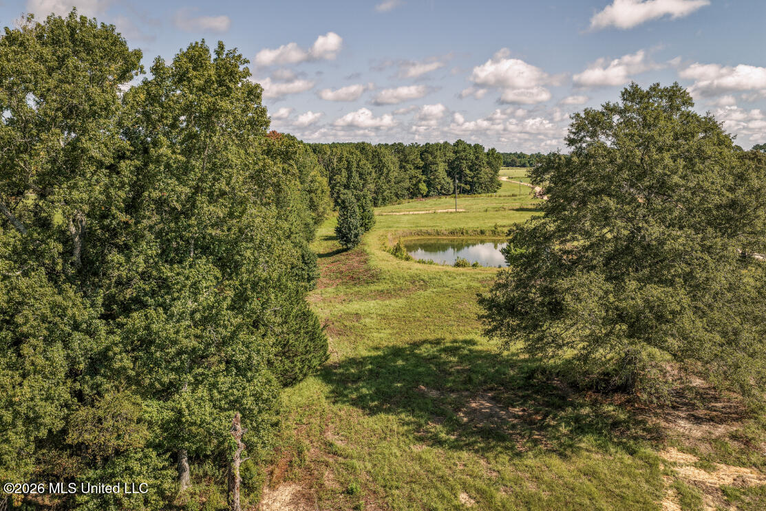 2498 Hilton Lane Property Photo 11