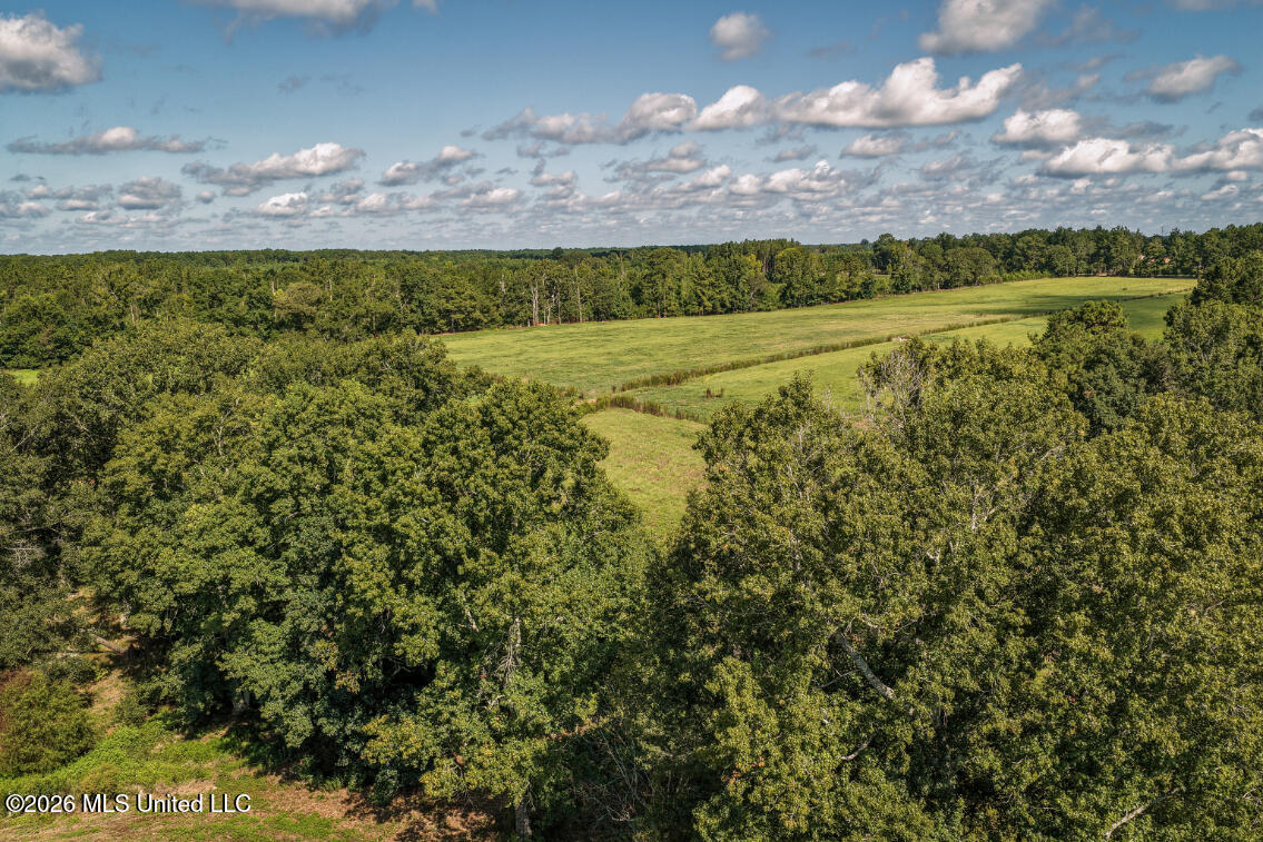 2498 Hilton Lane Property Photo 12