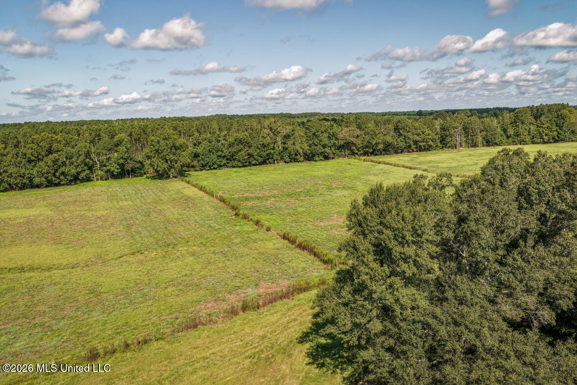2498 Hilton Lane Property Photo 13