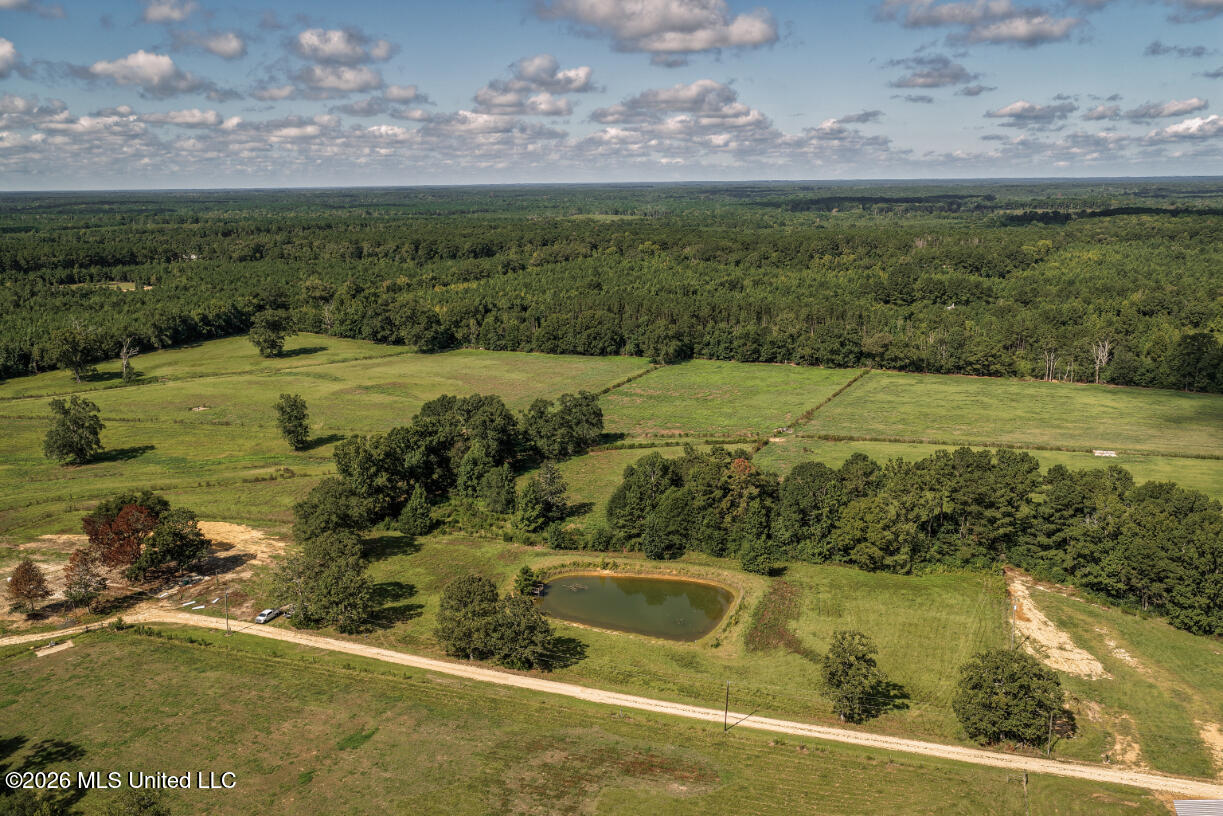 2498 Hilton Lane Property Photo 16