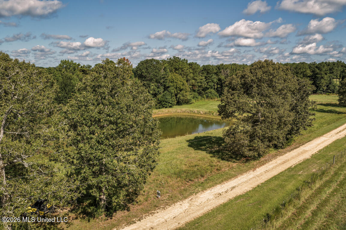 2498 Hilton Lane Property Photo 19